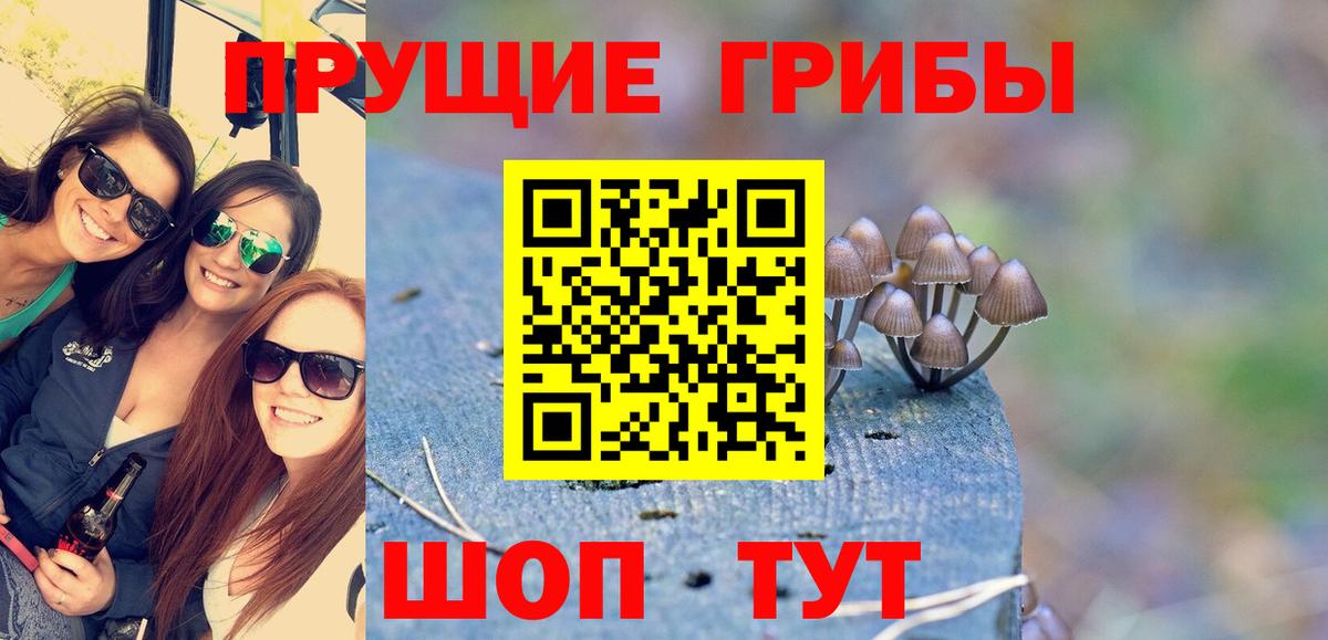 Псилоцибиновые грибы Фрязино